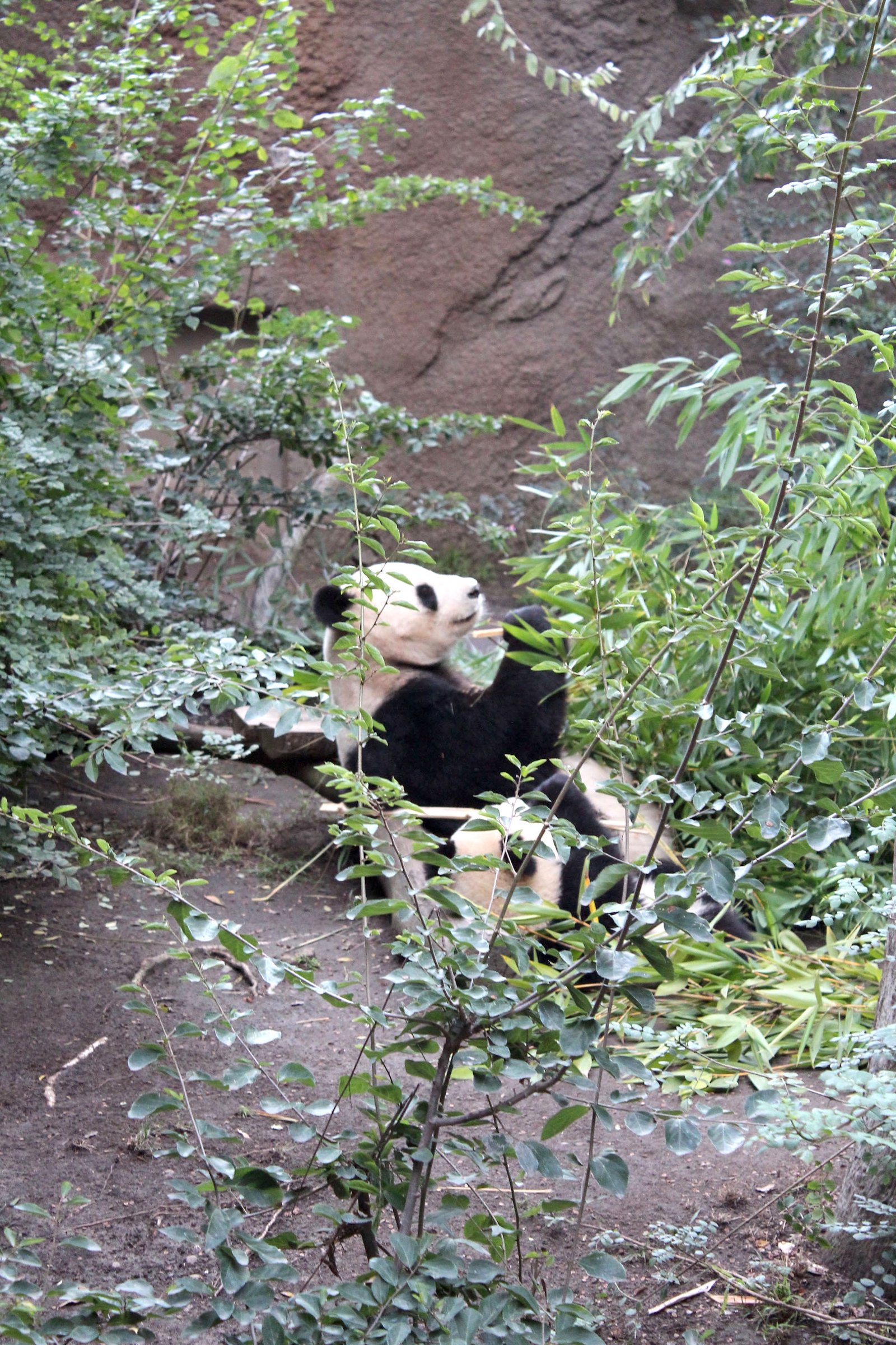 San Diego Zoo Part I 209